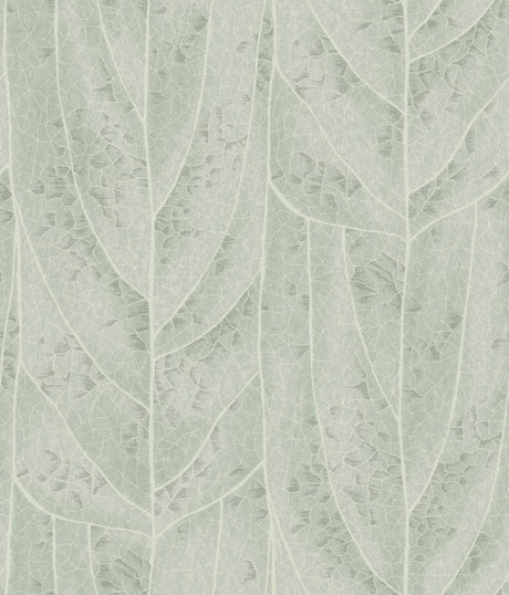 Candice Olson Dicot Spa Leaf Blue Wallpaper