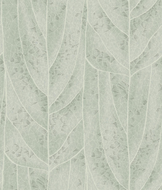 Candice Olson Dicot Spa Leaf Blue Wallpaper