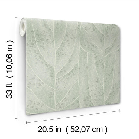 Candice Olson Dicot Spa Leaf Blue Wallpaper