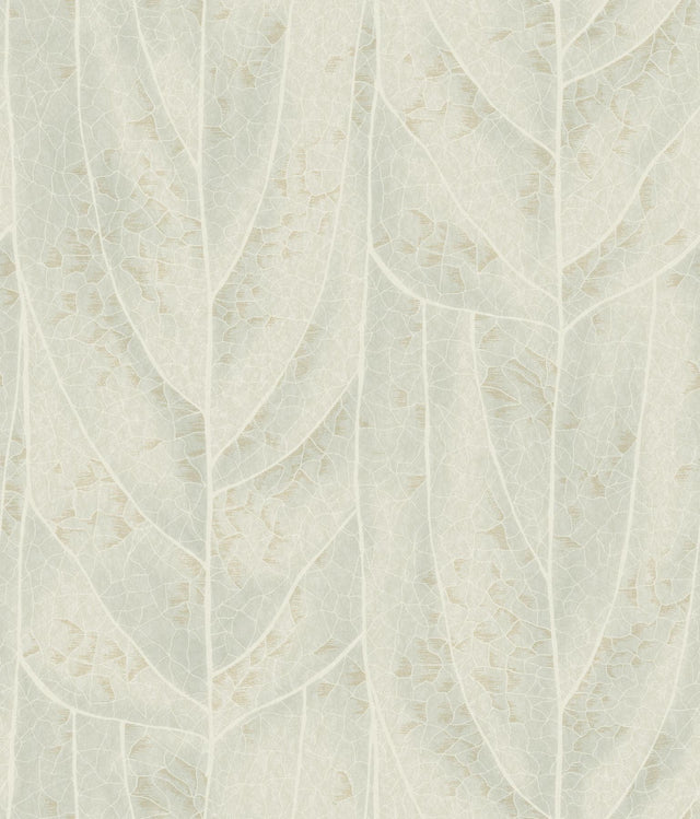 Candice Olson Dicot Light Green Leaf Green Wallpaper