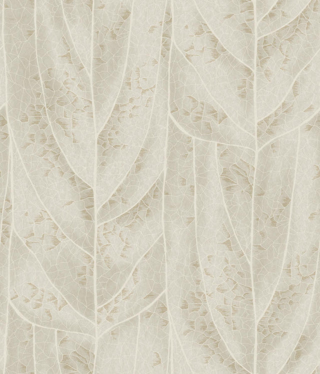 Candice Olson Dicot Beige Leaf Beige Wallpaper
