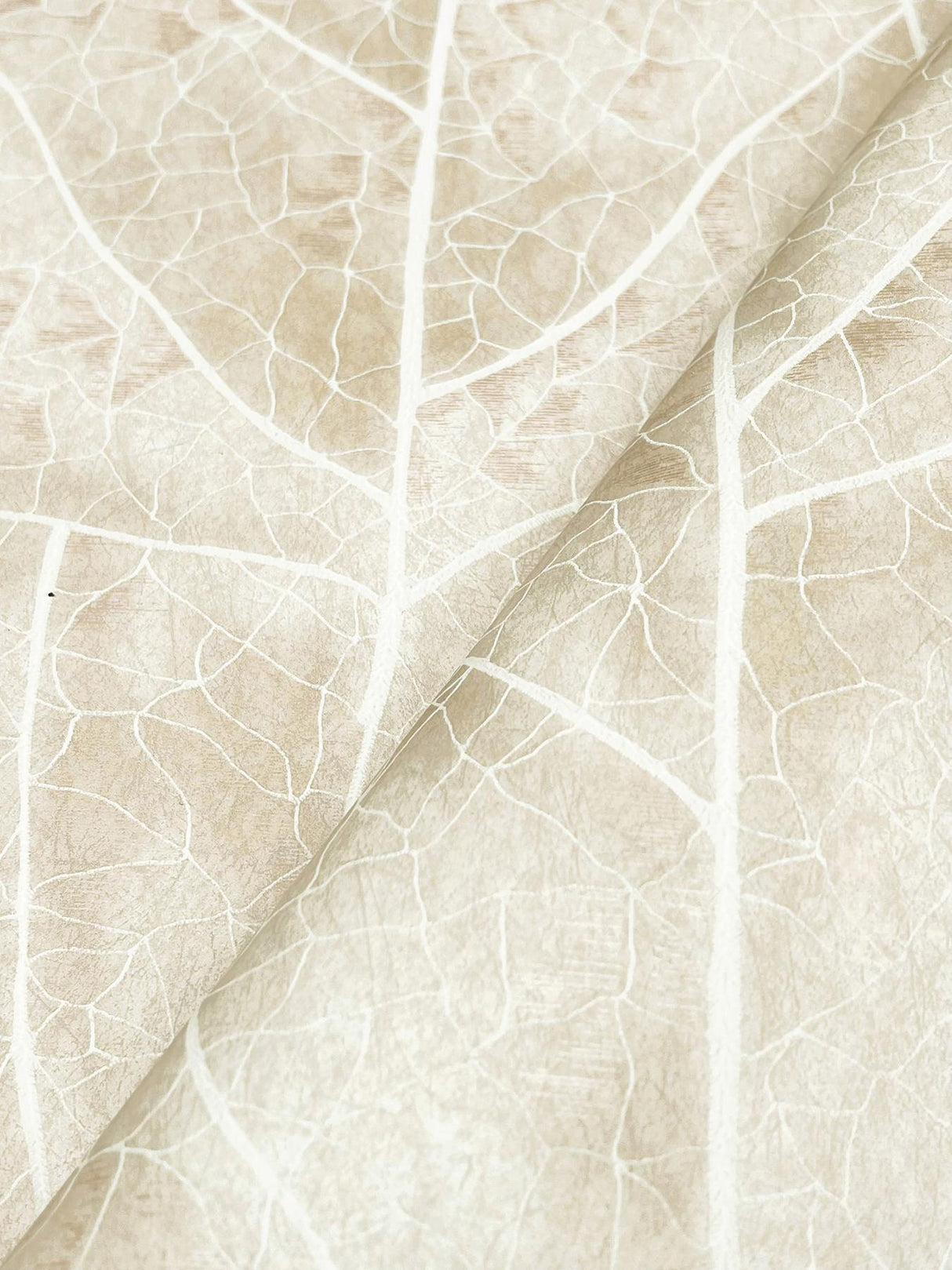 Candice Olson Dicot Beige Leaf Beige Wallpaper