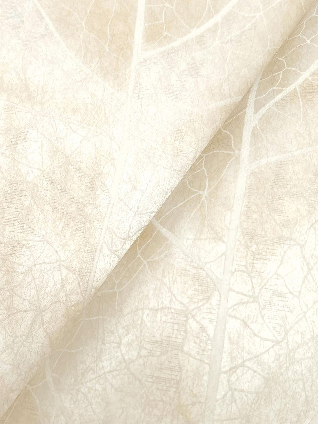 Candice Olson Dicot Pearl Leaf White Wallpaper