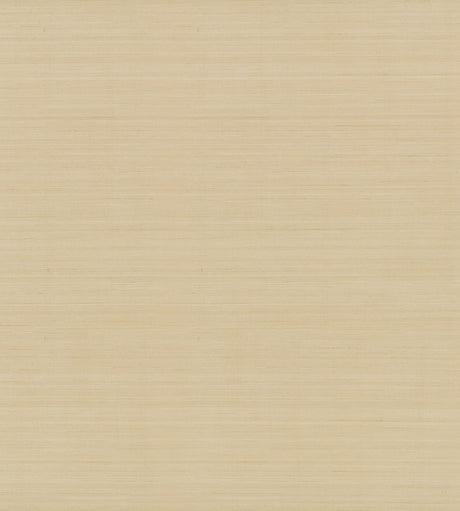 Candice Olson Quiet Vista Desert Brown Wallpaper