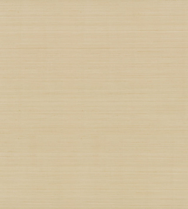 Candice Olson Quiet Vista Desert Brown Wallpaper