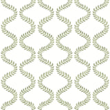 York Wallcoverings Florentine Green Vine Trellis Peel & Stick Green Wallpaper