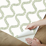 York Wallcoverings Florentine Green Vine Trellis Peel & Stick Green Wallpaper