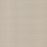 York Wallcoverings Natural Sisal Warm Grey Peel & Stick Grasscloth Grey Wallpaper