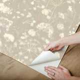 Candice Olson Botanical Fantasy Soft Taupe Peel & Stick Beige Wallpaper