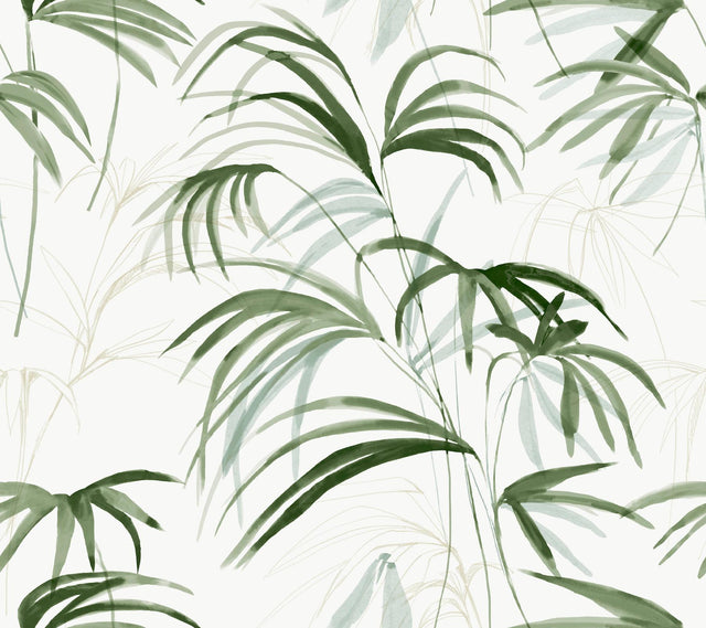 Candice Olson Inky Palms Green Peel & Stick Green Wallpaper