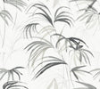 Candice Olson Inky Palms Black Peel & Stick Black Wallpaper