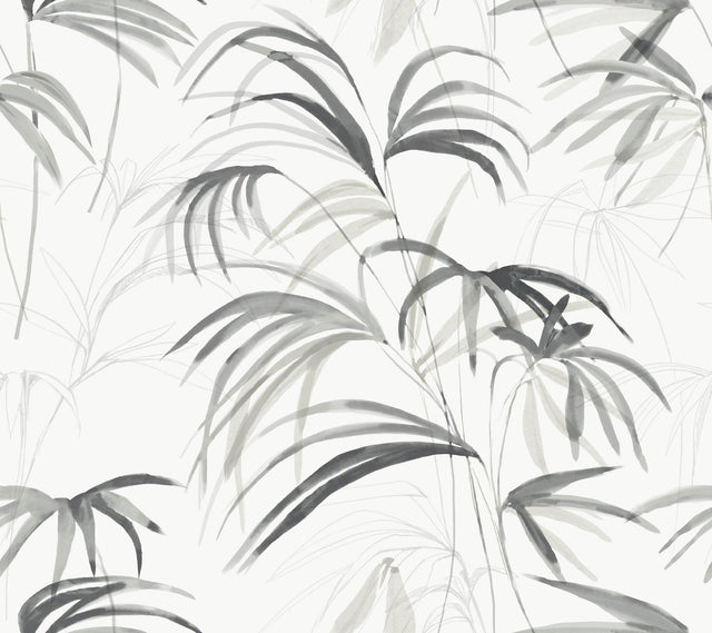 Candice Olson Inky Palms Black Peel & Stick Black Wallpaper