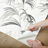 Candice Olson Inky Palms Black Peel & Stick Black Wallpaper