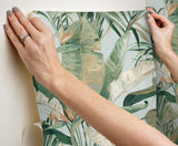 Candice Olson Tropical Cabana Spa Peel & Stick Green Wallpaper