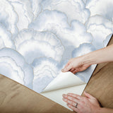 Candice Olson Abalone Fans Blue Peel & Stick Blue Wallpaper