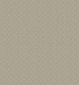 Ronald Redding Designs Wickwork Fog Transit Beige Wallpaper