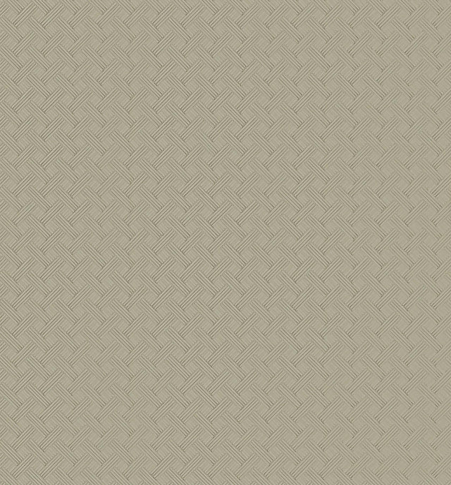 Ronald Redding Designs Wickwork Fog Transit Beige Wallpaper