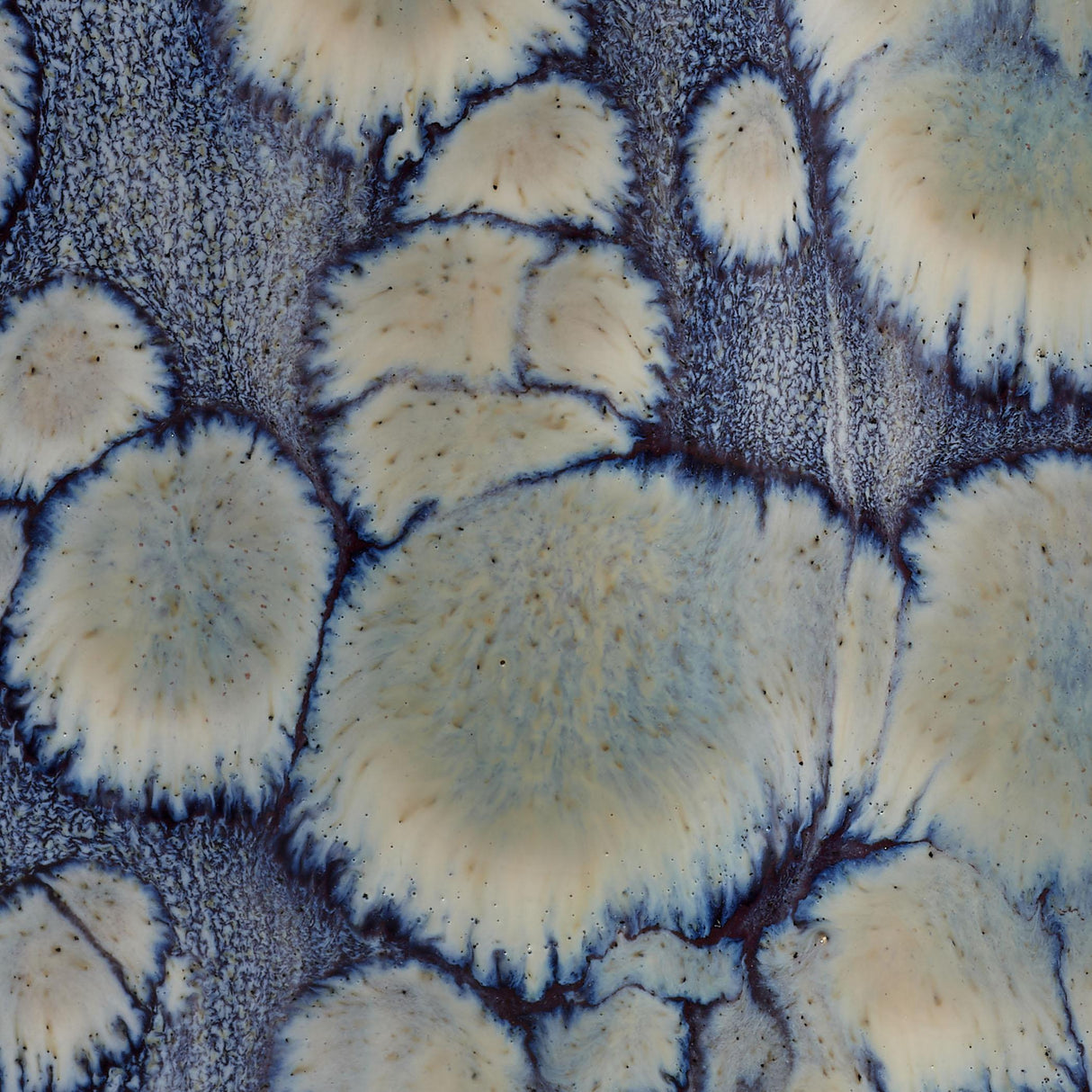 Jamie Young Cloud Ceramic Decorative Set of 2 Vases