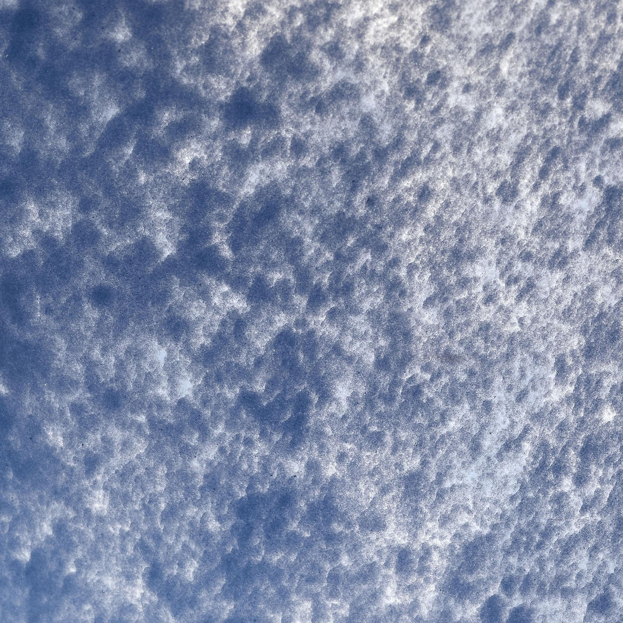 Jamie Young Splash Blown Glass Bowl