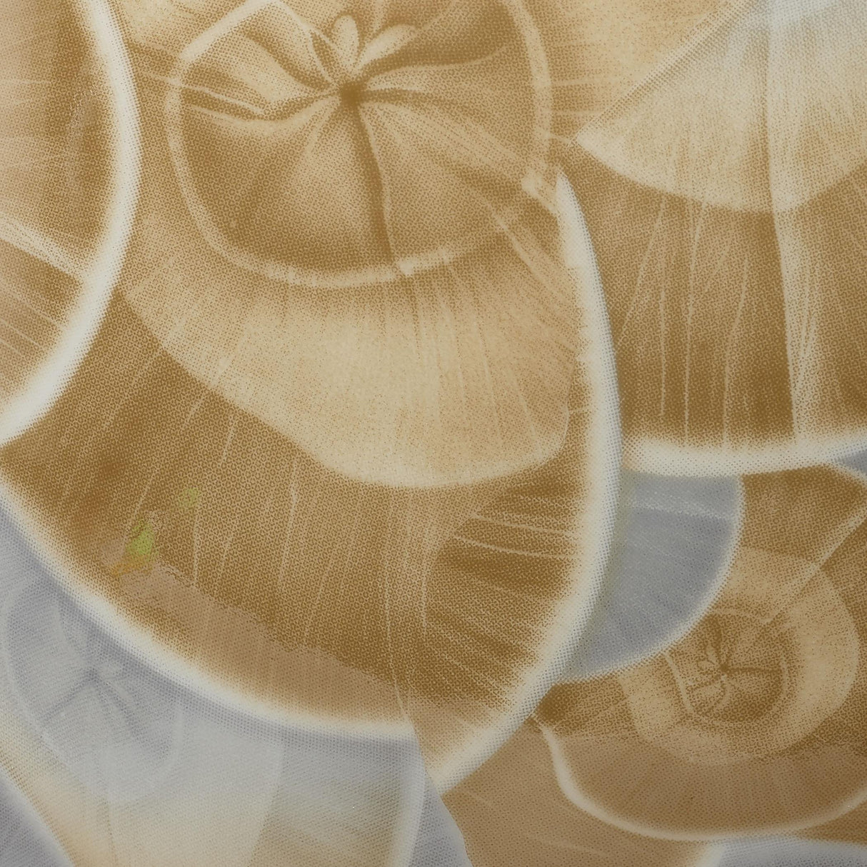 Jamie Young Tranquil Ceramic Decorative Vase