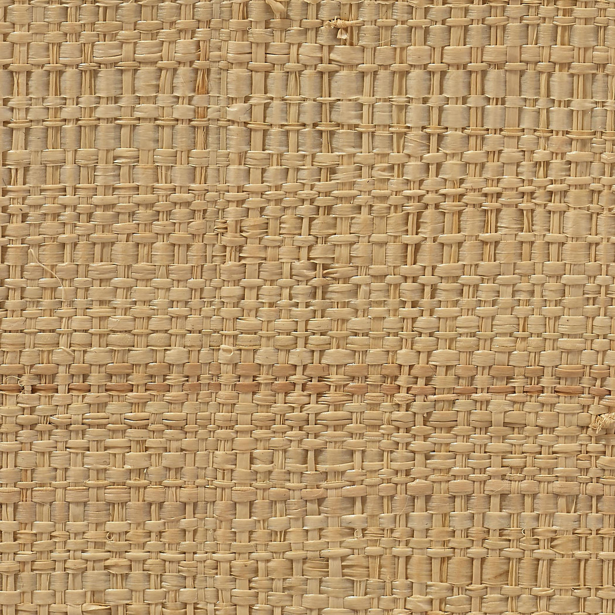 Jamie Young Wonderland Scalloped Small Decorative Raffia Tray, Natural