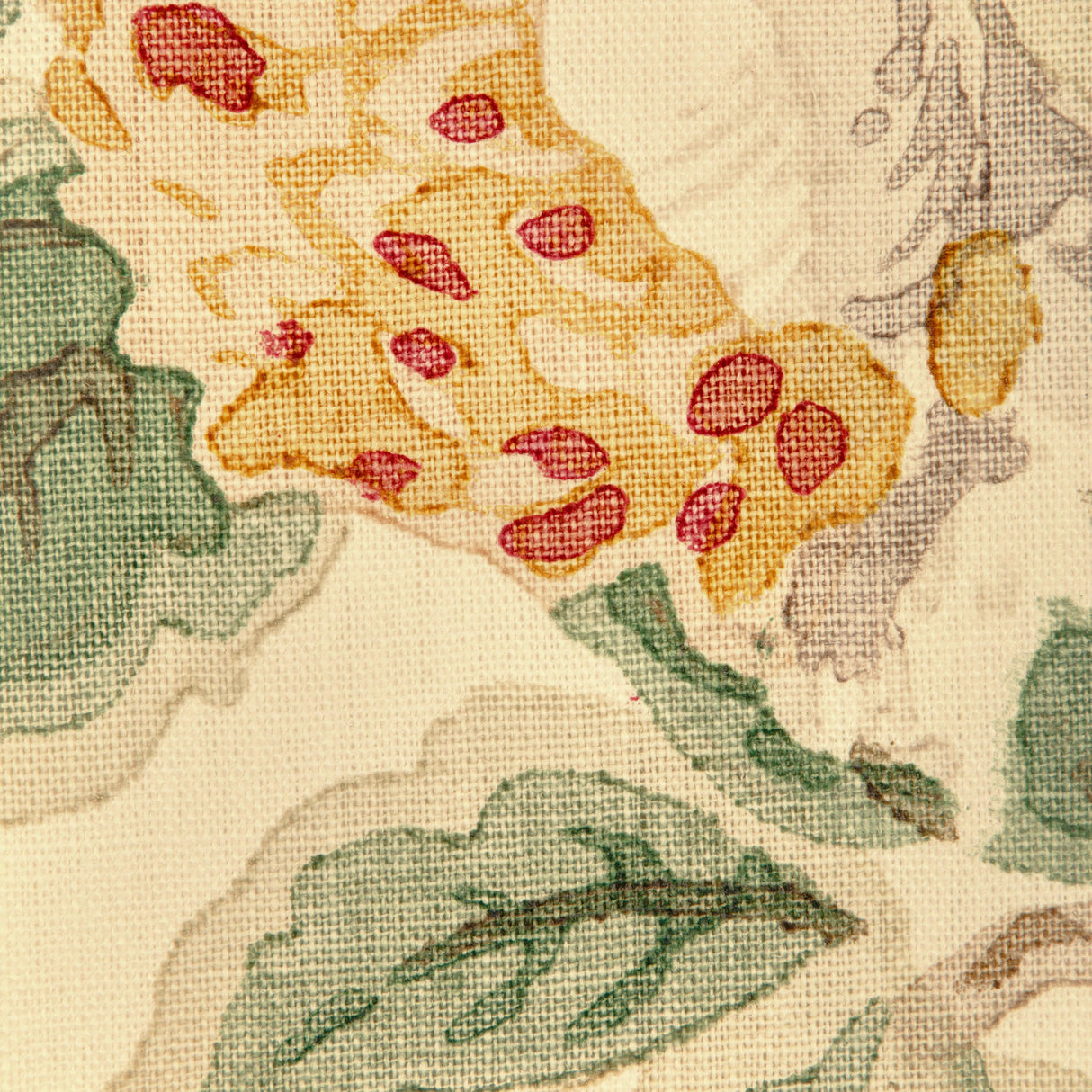 Lee Jofa TARA MAGNOLIA BERRY Fabric