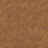 Maxwell COWLES-NJ #134 COIN Fabric