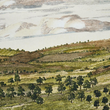 Schumacher Mr. Darcy 3 Panel Set Pemberley Green Wallpaper