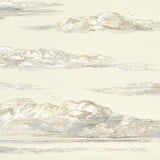 Schumacher Mr. Darcy'S Clouds Pemberley Wallpaper