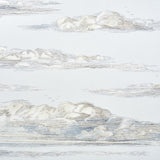 Schumacher Mr. Darcy'S Clouds Sky Wallpaper