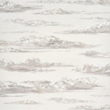 Schumacher Mr. Darcy'S Clouds Grisaille Wallpaper