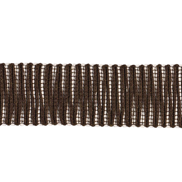 Schumacher Pierce Tape Indoor/Outdoor Brown Trim
