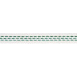 Schumacher Portola Tape Narrow Indoor/Outdoor Green Trim