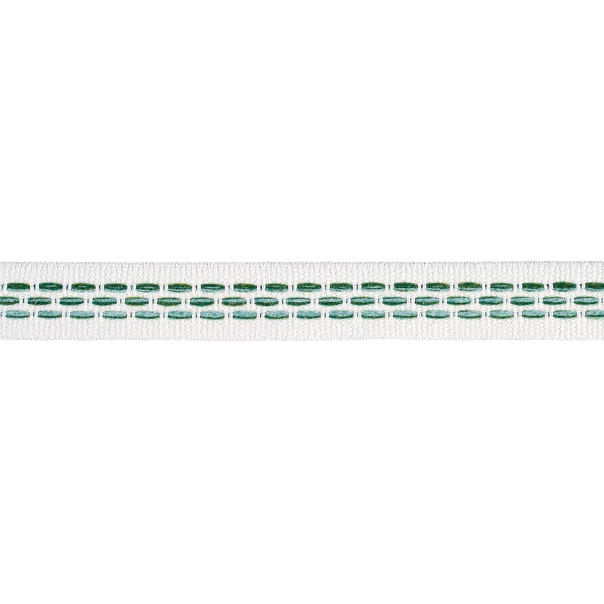 Schumacher Portola Tape Narrow Indoor/Outdoor Green Trim