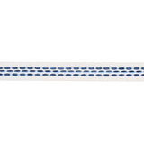 Schumacher Portola Tape Narrow Indoor/Outdoor Blue Trim