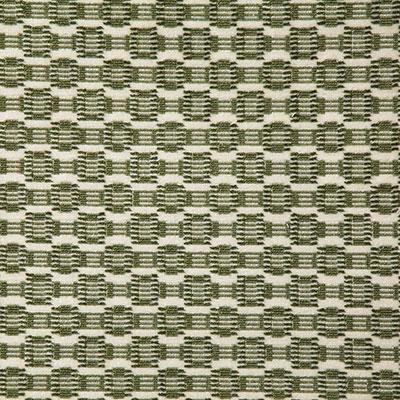 Pindler BENNETT FERN Fabric