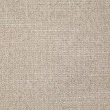 Pindler DARKEN LINEN Fabric