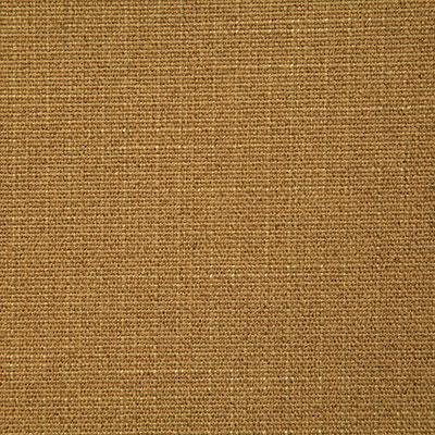 Pindler DARKEN SOLEIL Fabric