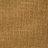 Pindler DARKEN SOLEIL Fabric