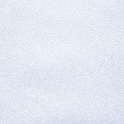 Pindler HAYES WHITE Fabric