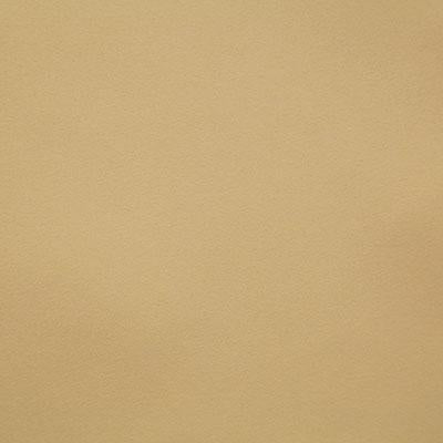 Pindler HAYES GOLDEN Fabric