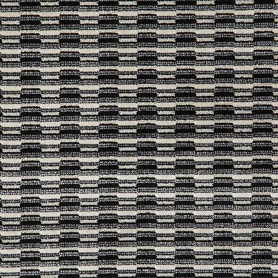 Pindler OZZY DOMINO Fabric