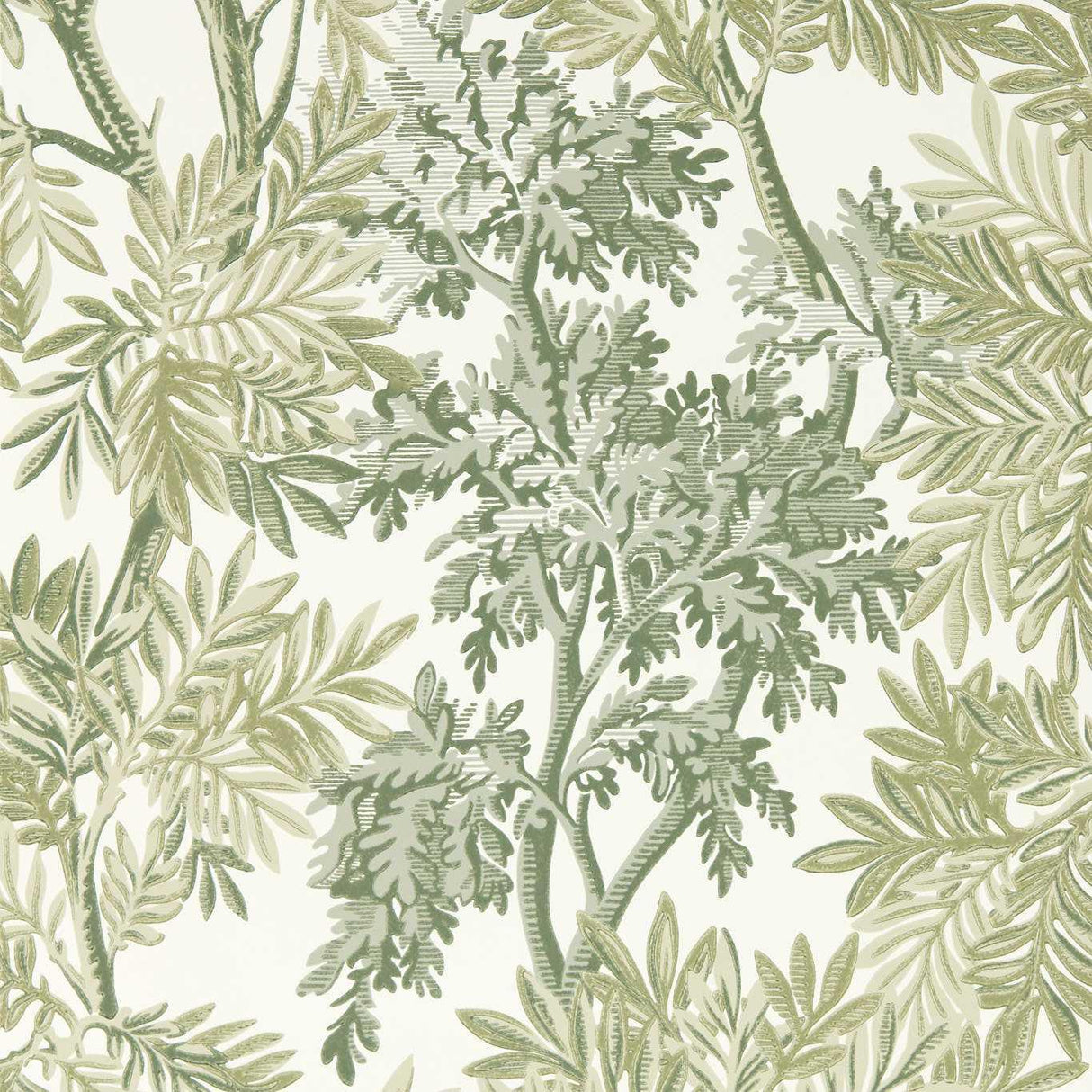 Sanderson Tapestry Trees Forest/Willow Wallpaper