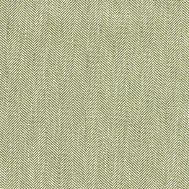 Sanderson Benwick Leaf Green Fabric