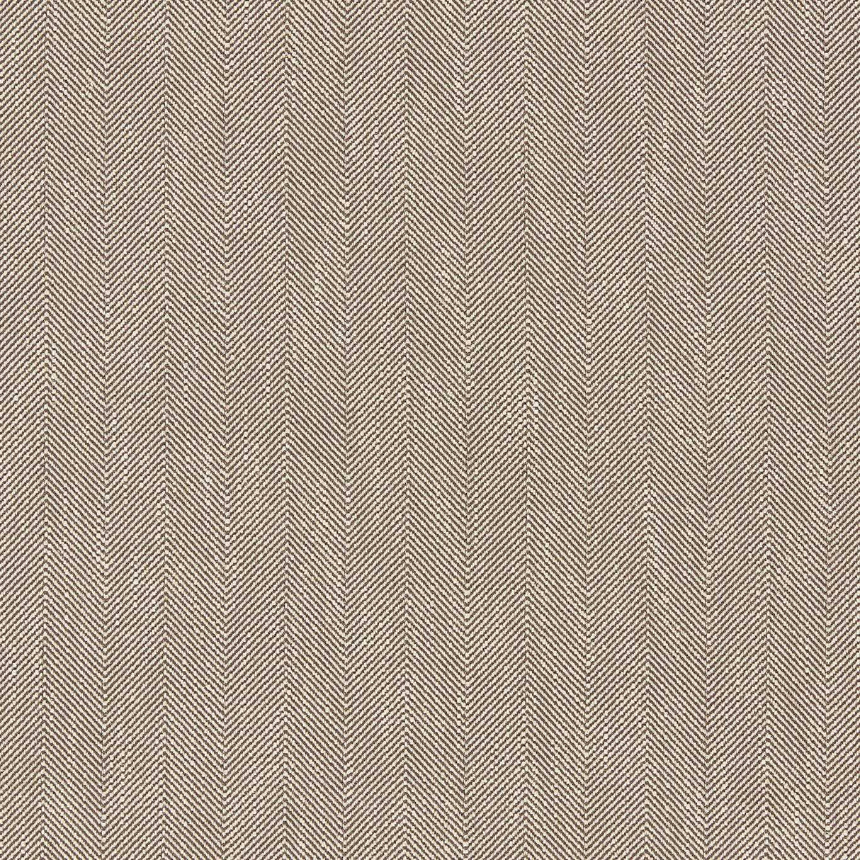 Sanderson Benwick Raw Chocolate Fabric