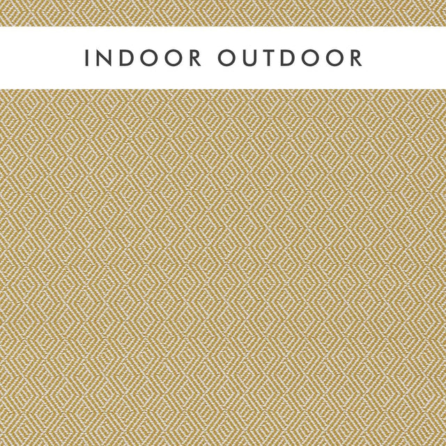 Harlequin Nalani Nectar/Chalk Fabric