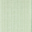 Harlequin Papyrus Seaglass/Emerald Wallpaper