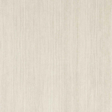 Harlequin Wood Veneer Silver Birch Wallpaper