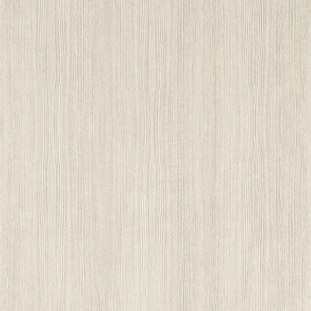 Harlequin Wood Veneer Silver Birch Wallpaper
