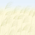 Harlequin Miscanthus Buttermilk/Sky Wallpaper